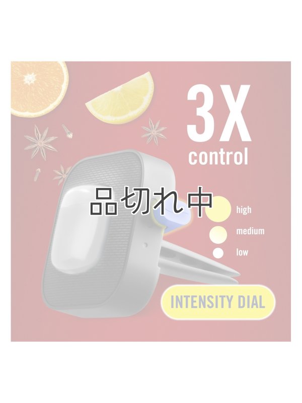 画像3: 【USファブリーズ】車用芳香剤(2個入り)：オールドスパイス