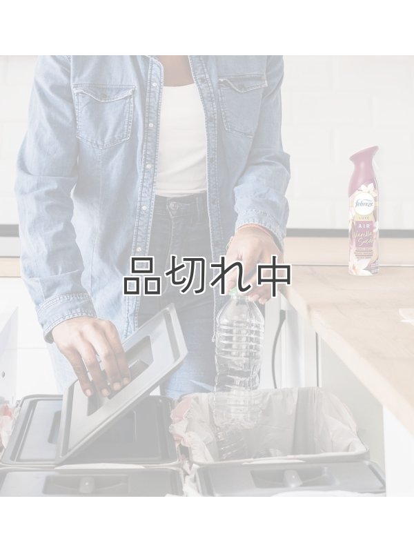 画像5: 【USファブリーズ】エアーフレッシュナー：バニラスエード