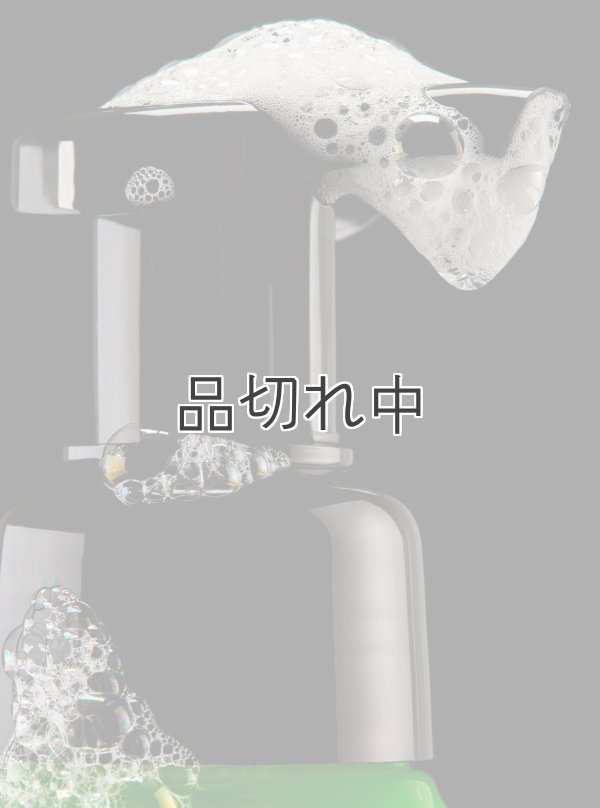 画像5: 【Bath&BodyWorks】《Disney Villainsコラボ》フォーミングハンドソープ：マレフィセント