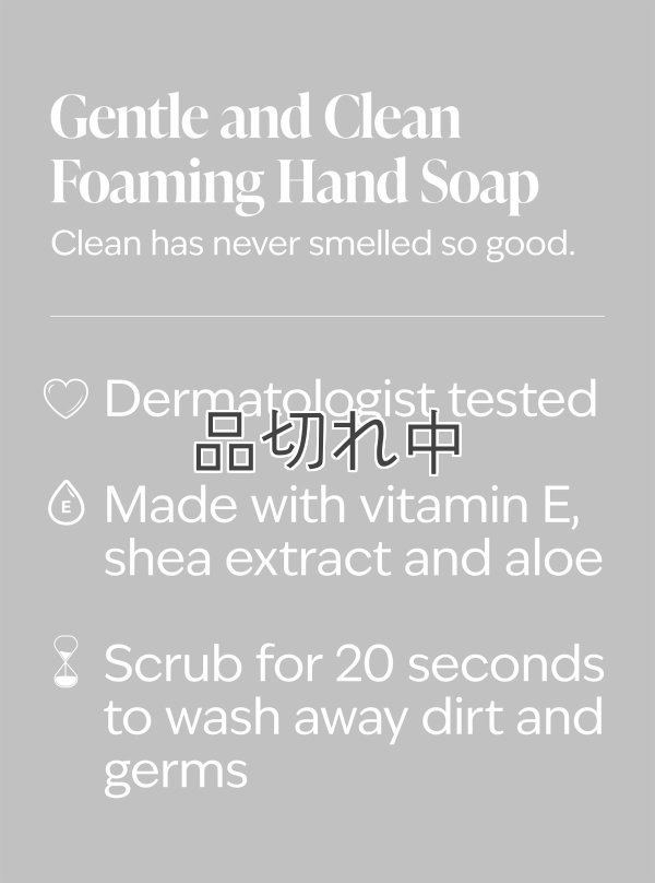 画像4: 【Bath&BodyWorks】《Disney Villainsコラボ》フォーミングハンドソープ：マレフィセント