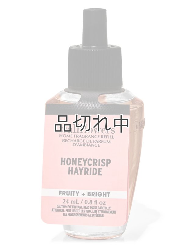 画像1: 【Bath&BodyWorks】Wallflowers詰替リフィル：ハニークリスプヘイライド