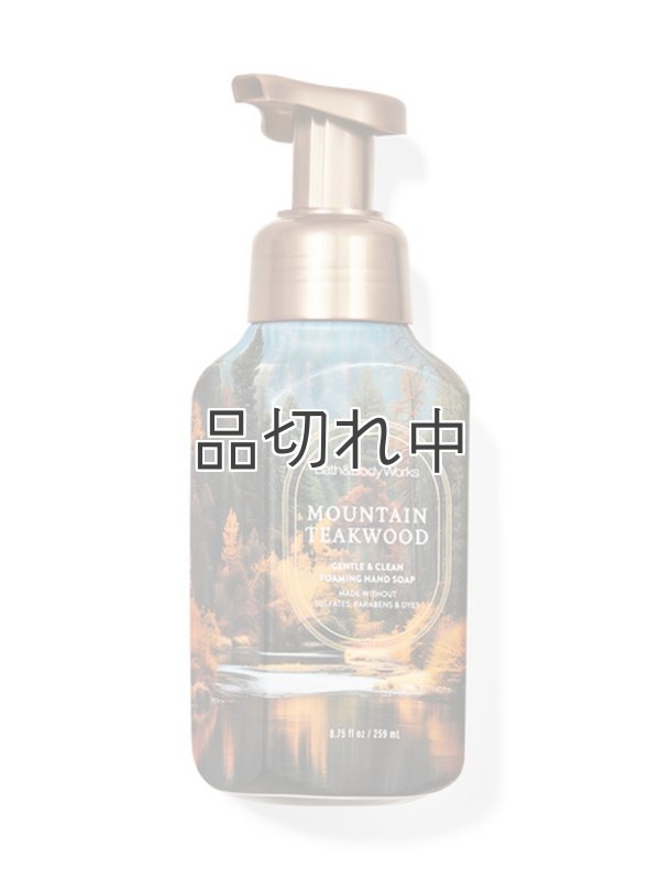 画像1: 【Bath&BodyWorks】フォーミングハンドソープ：マウンテンティークウッド