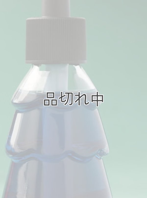 画像2: 【Bath&BodyWorks】Wallflowers詰替リフィル：フロステッドスレイライド