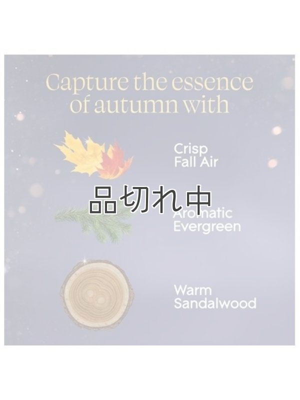 画像3: 【glade】プラグインオイルリフィル(2個入)：エンバー＆サンダルウッド