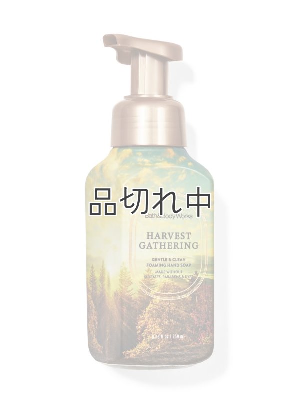 画像1: 【Bath&BodyWorks】フォーミングハンドソープ：ハーベストギャザリング