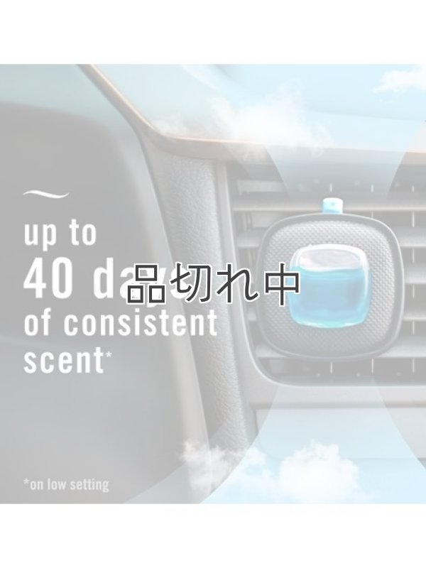 画像3: 【USファブリーズ】車用芳香剤(2個入り)：ジャパニーズチェリーブロッサム