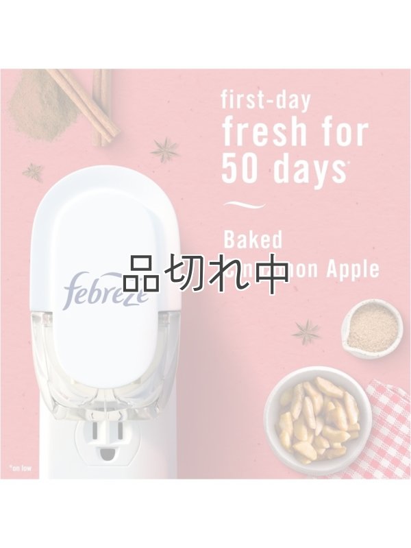 画像3: 【USファブリーズ】プラグインオイルリフィル(2セット入)：ベイクドシナモンアップル