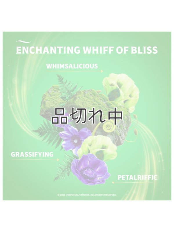 画像4: 【USファブリーズ】プラグインオイルリフィル(2セット入)：Wicked ワンダフレストウッズ