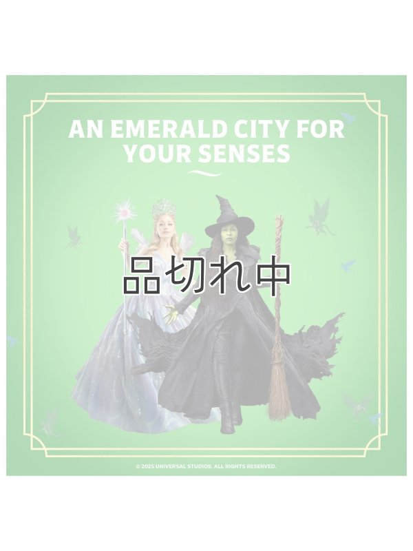 画像5: 【USファブリーズ】プラグインオイルリフィル(2セット入)：Wicked ワンダフレストウッズ