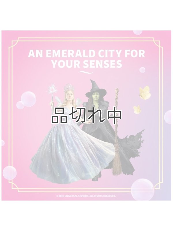 画像5: 【USファブリーズ】プラグインオイルリフィル(2セット入)：Wicked ビューティフィカルブロッサム