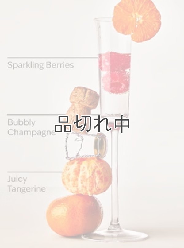 画像2: 【Bath&BodyWorks】Wallflowers詰替リフィル：シャンパントースト