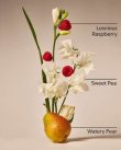 画像2: 【Bath&BodyWorks】ファインフレグランスミスト：スイートピー