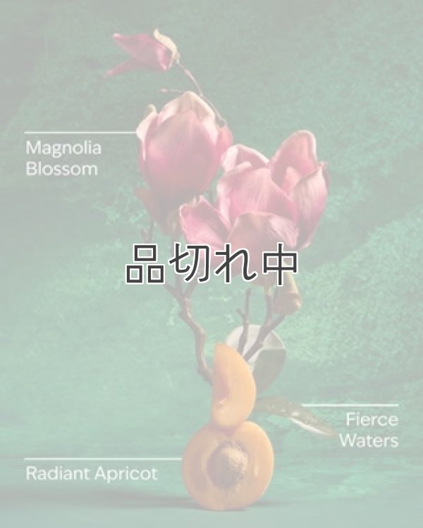画像2: 【Bath&BodyWorks】《Disney Princessコラボ》Wallflowers詰替リフィル：Mulan (ムーラン)