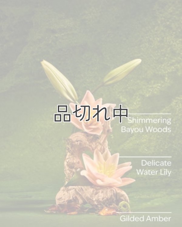 画像2: 【Bath&BodyWorks】《Disney Princessコラボ》ファインフレグランスミスト：Tiana (ティアナ)