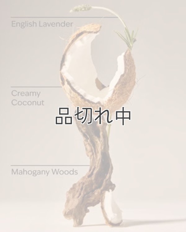 画像3: 【Bath&BodyWorks】カーフレグランス詰替リフィル：マホガニーココナッツ