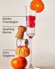 画像3: 【Bath&BodyWorks】カーフレグランス詰替リフィル：シャンパントースト