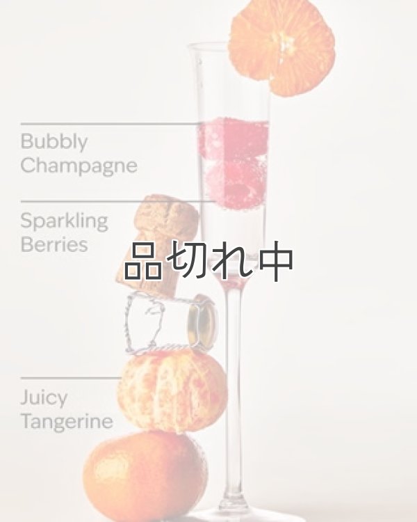 画像3: 【Bath&BodyWorks】カーフレグランス詰替リフィル：シャンパントースト