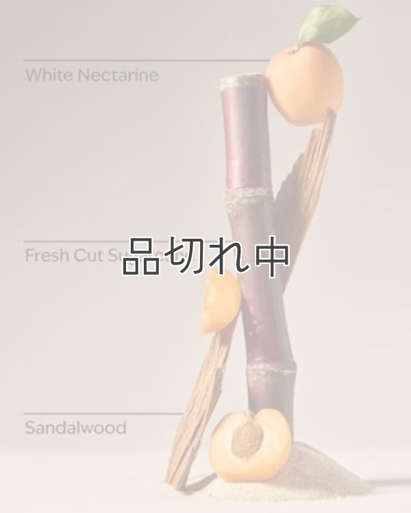 画像2: 【Bath&BodyWorks】カーフレグランス詰替リフィル：フィジーホワイトサンド