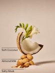 画像2: 【Bath&BodyWorks】Wallflowers詰替リフィル：ココナッツリネン