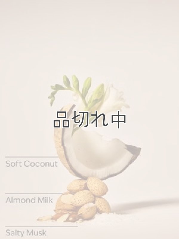 画像2: 【Bath&BodyWorks】Wallflowers詰替リフィル：ココナッツリネン