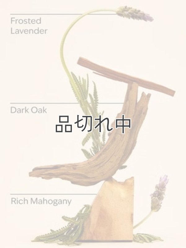 画像2: 【Bath&BodyWorks】Wallflowers詰替リフィル：マホガニーティークウッド