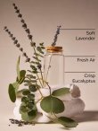 画像2: 【Bath&BodyWorks】Wallflowers詰替リフィル：ランドリーデイ