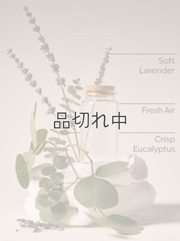 画像2: 【Bath&BodyWorks】Wallflowers詰替リフィル：ランドリーデイ