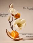画像2: 【Bath&BodyWorks】Wallflowers詰替リフィル：エンドレスウィークエンド