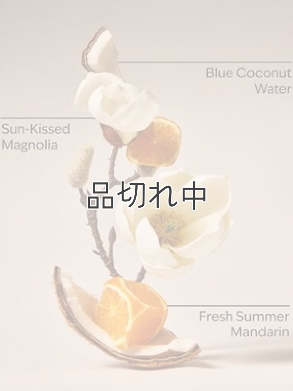 画像2: 【Bath&BodyWorks】Wallflowers詰替リフィル：エンドレスウィークエンド