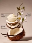 画像3: 【Bath&BodyWorks】Wallflowers詰替リフィル(2個入り)：バニラココナッツ