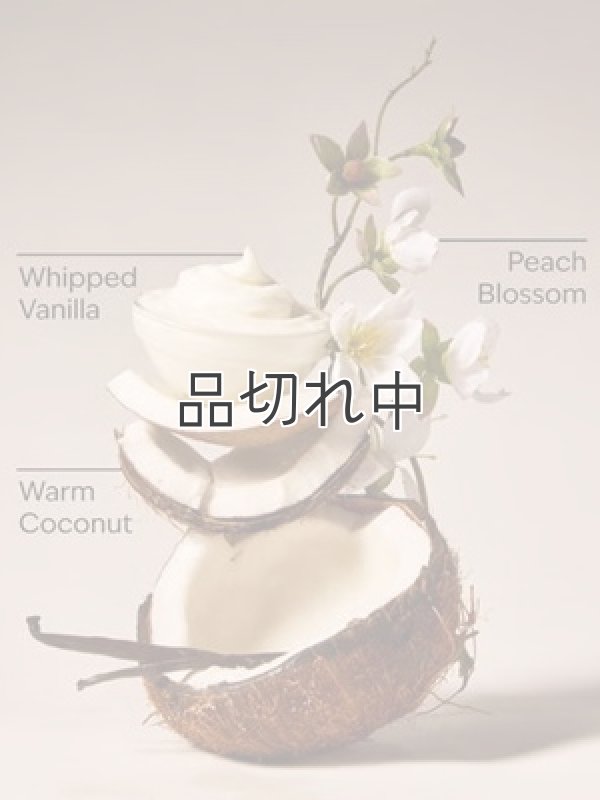 画像3: 【Bath&BodyWorks】Wallflowers詰替リフィル(2個入り)：バニラココナッツ