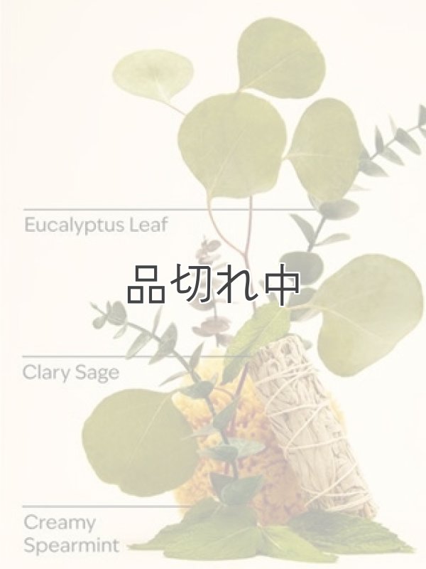 画像2: 【Bath&BodyWorks】Wallflowers詰替リフィル：Stress Relief-ユーカリスペアミント