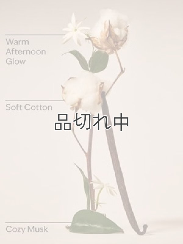 画像2: 【Bath&BodyWorks】Wallflowers詰替リフィル：キャットナップ