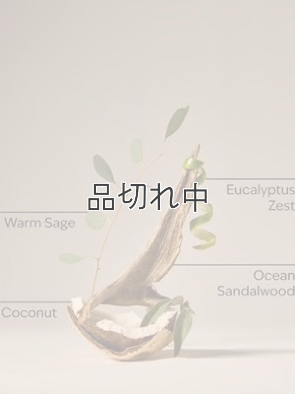 画像2: 【Bath&BodyWorks】Wallflowers詰替リフィル(2個入り)：ウォームオーシャンブリーズ