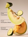 画像2: 【Bath&BodyWorks】ハンギングフレグランスディフューザー(吊り下げ)：キューカンバーメロン