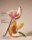 画像2: 【Bath&BodyWorks】ボディクリーム：Eau De Coconut (オードココナッツ)