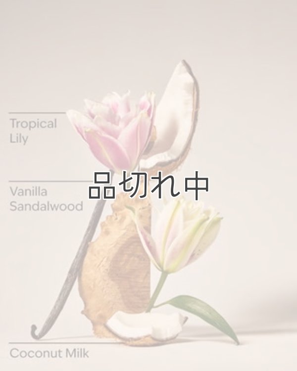 画像2: 【Bath&BodyWorks】ボディクリーム：Eau De Coconut (オードココナッツ)