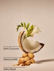 画像3: 【Bath&Body Works】ドライヤーシート(40枚入り)：ココナッツリネン