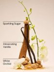 画像3: 【Bath&BodyWorks】Wallflowers詰替リフィル(2個入り)：ウォームバニラシュガー