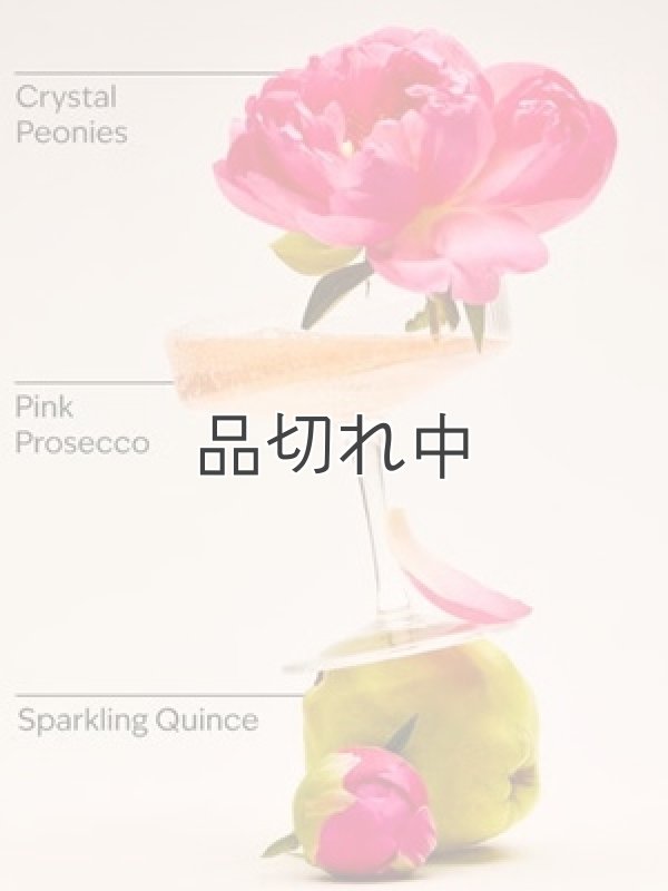画像3: 【Bath&BodyWorks】Wallflowers詰替リフィル(2個入り)：A Thousand Wishes