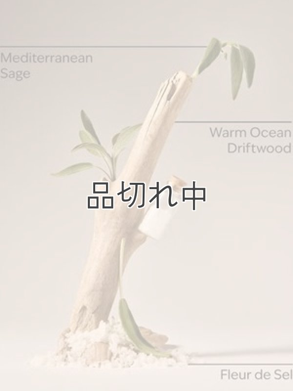 画像2: 【Bath&BodyWorks】Wallflowers詰替リフィル：シーソルト＆ドリフトウッド