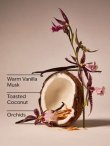 画像2: 【Bath&BodyWorks】Wallflowers詰替リフィル：ティキビーチ