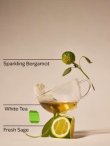 画像3: 【Bath&BodyWorks】Wallflowers詰替リフィル(2個入り)：ホワイトティー＆セージ