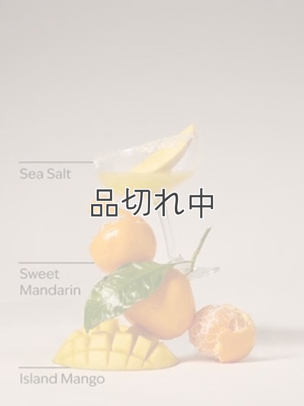 画像3: 【Bath&BodyWorks】Wallflowers詰替リフィル(2個入り)：アイランドマルガリータ