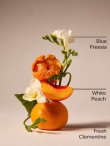 画像2: 【Bath&BodyWorks】Wallflowers詰替リフィル：ギンガム