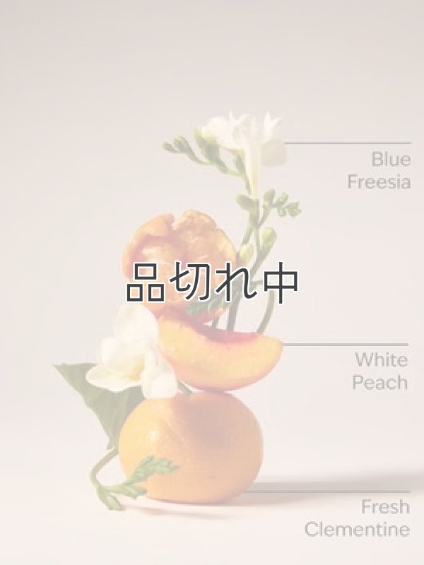 画像2: 【Bath&BodyWorks】Wallflowers詰替リフィル：ギンガム