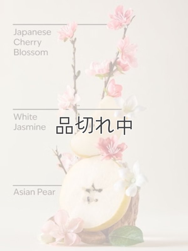 画像2: 【Bath&BodyWorks】Wallflowers詰替リフィル：ジャパニーズチェリーブロッサム