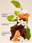 画像2: 【Bath&BodyWorks】Wallflowers詰替リフィル：In the Stars