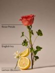 画像3: 【Bath&BodyWorks】Wallflowers詰替リフィル(2個入り)：ローズウォーター＆アイビー