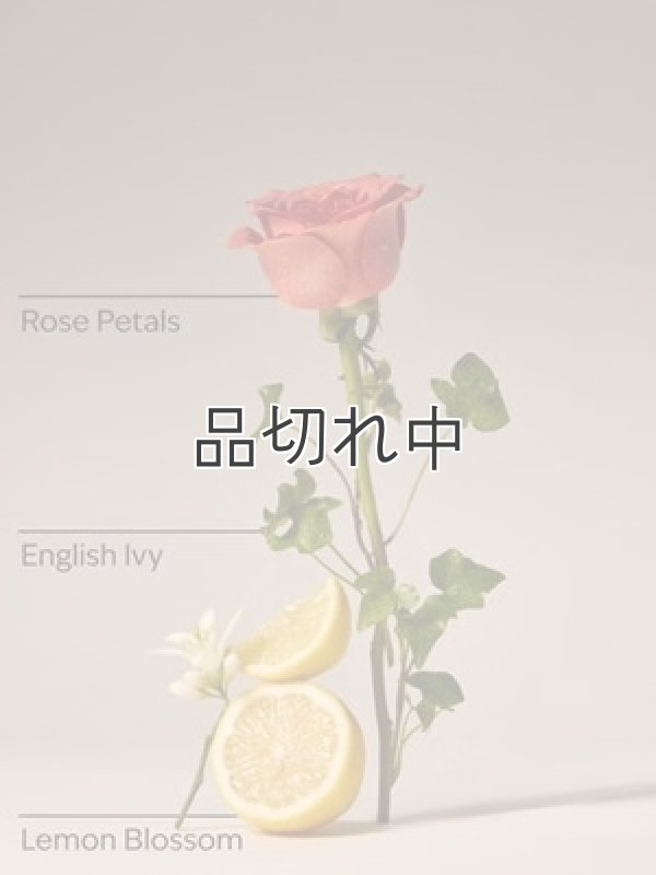 画像3: 【Bath&BodyWorks】Wallflowers詰替リフィル(2個入り)：ローズウォーター＆アイビー